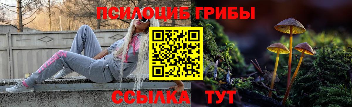 Дюртюли  где купить наркоту  Вход с VPN  Галлюциногенные грибы Psilocybine cubensis  Псилоцибиновые грибы Cubensis 